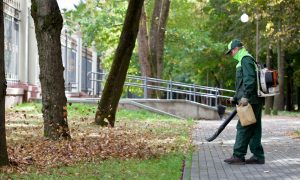 leaf-blower